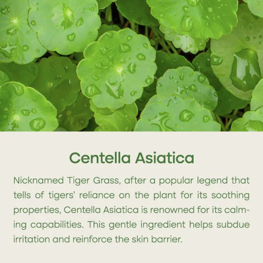 Purito Centella Wonder Releaf Serum - Main Ingredient
