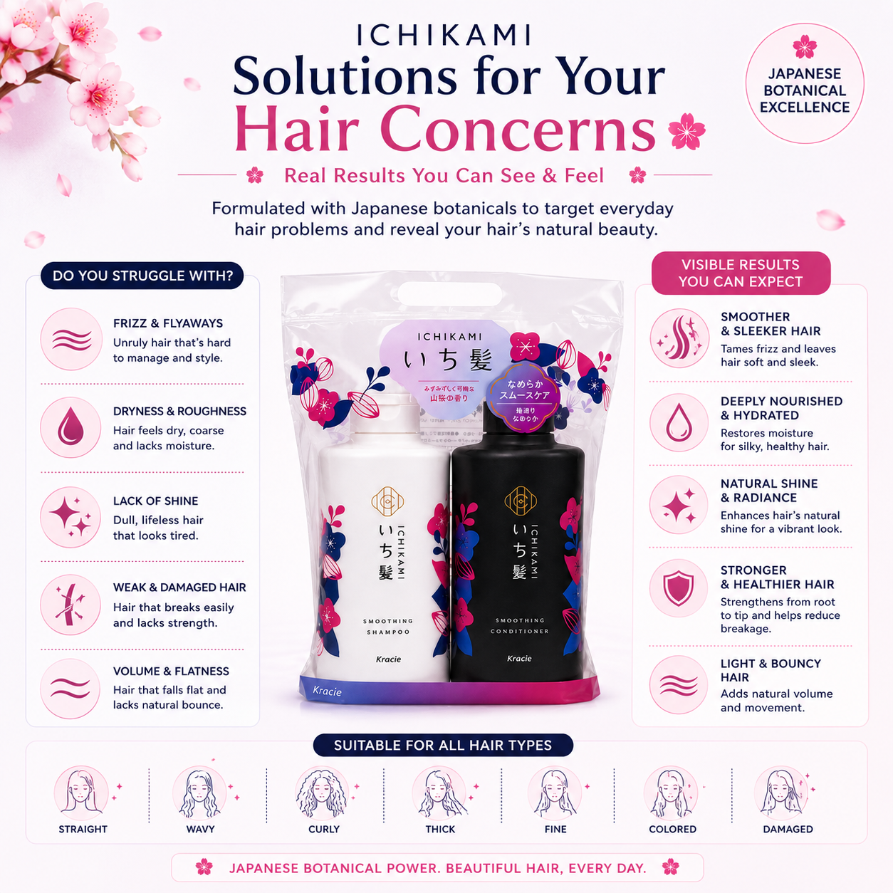 Kracie Ichikami Smooth Hair Set hair concern solution infographic targeting frizz, dryness, dullness, damaged hair, and lack of volume with Japanese botanical haircare.