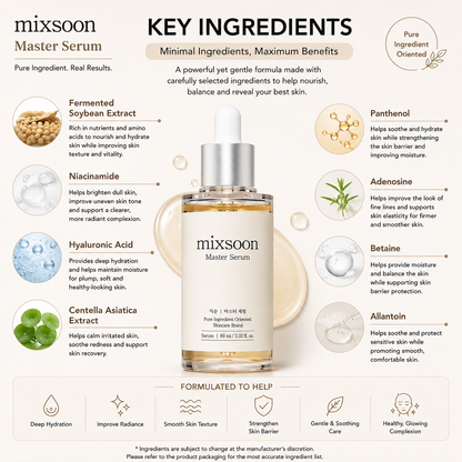 MIXSOON Master Serum 60ml key ingredients infographic featuring fermented soybean extract, niacinamide, hyaluronic acid, panthenol and centella asiatica