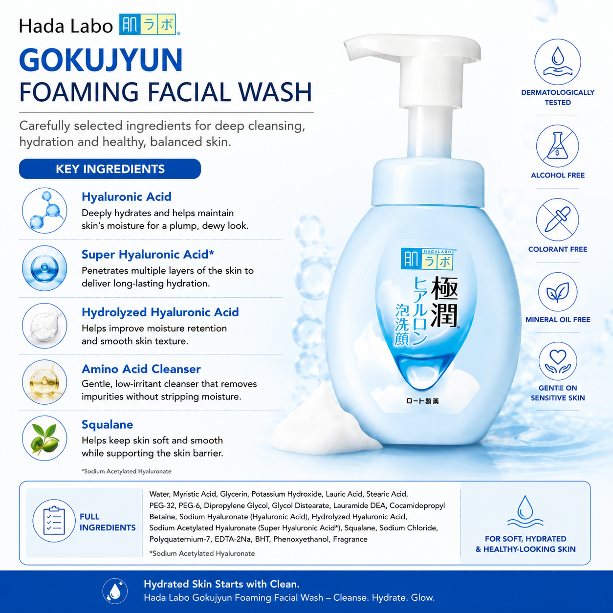 Key ingredients in ROHTO Hada Labo Gokujyun Foaming Facial Wash 160ml including multiple hyaluronic acids, amino acid cleanser, and squalane