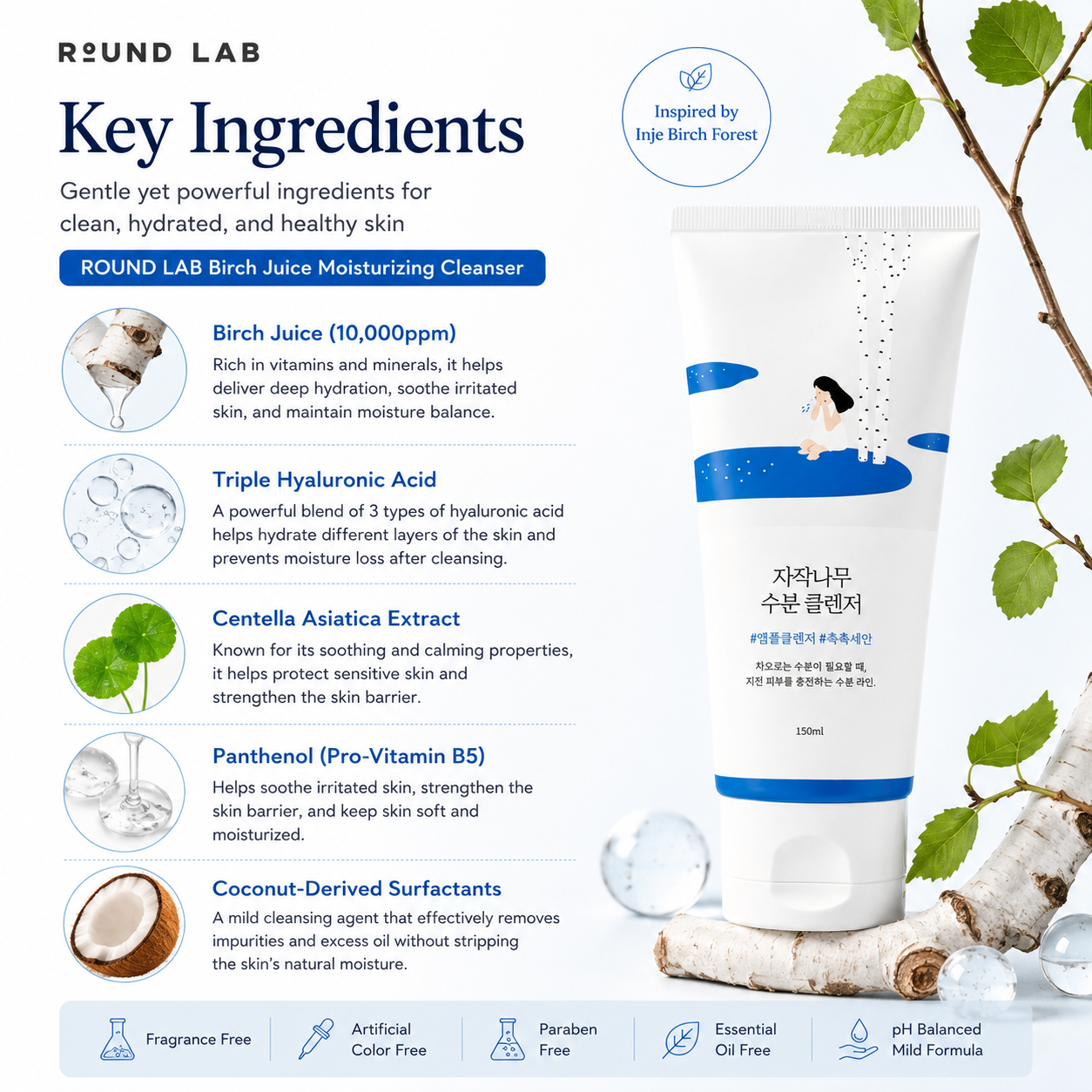 ROUND LAB Birch Juice Moisturizing Cleanser key ingredients including birch juice, triple hyaluronic acid, centella asiatica, panthenol, and coconut-derived surfactants