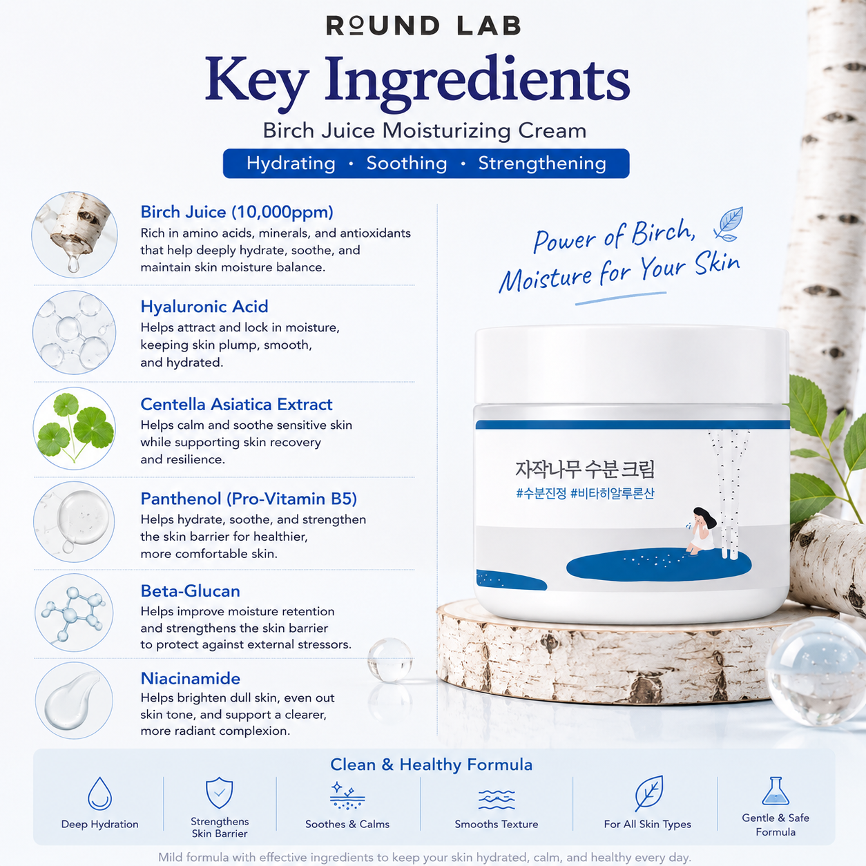 Key ingredients in ROUND LAB Birch Juice Moisturizing Cream including birch juice, hyaluronic acid, panthenol, beta-glucan, centella asiatica, and niacinamide